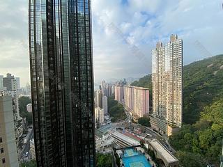 Tai Hang - The Legend 14