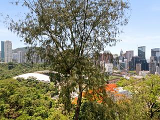 Tai Hang - Green Village 02