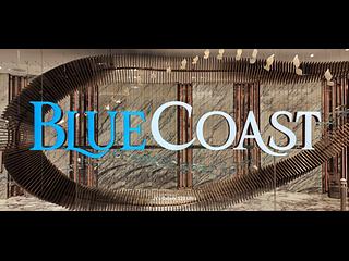 黃竹坑 - 港島南岸3B期 Blue Coast 1A座 16