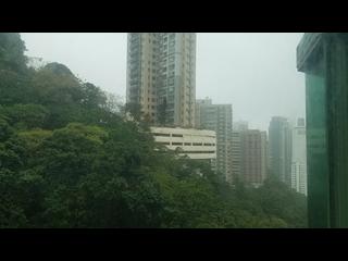 Tai Hang - Y.I 22