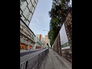 Tin Hau - Piedmont Garden 13