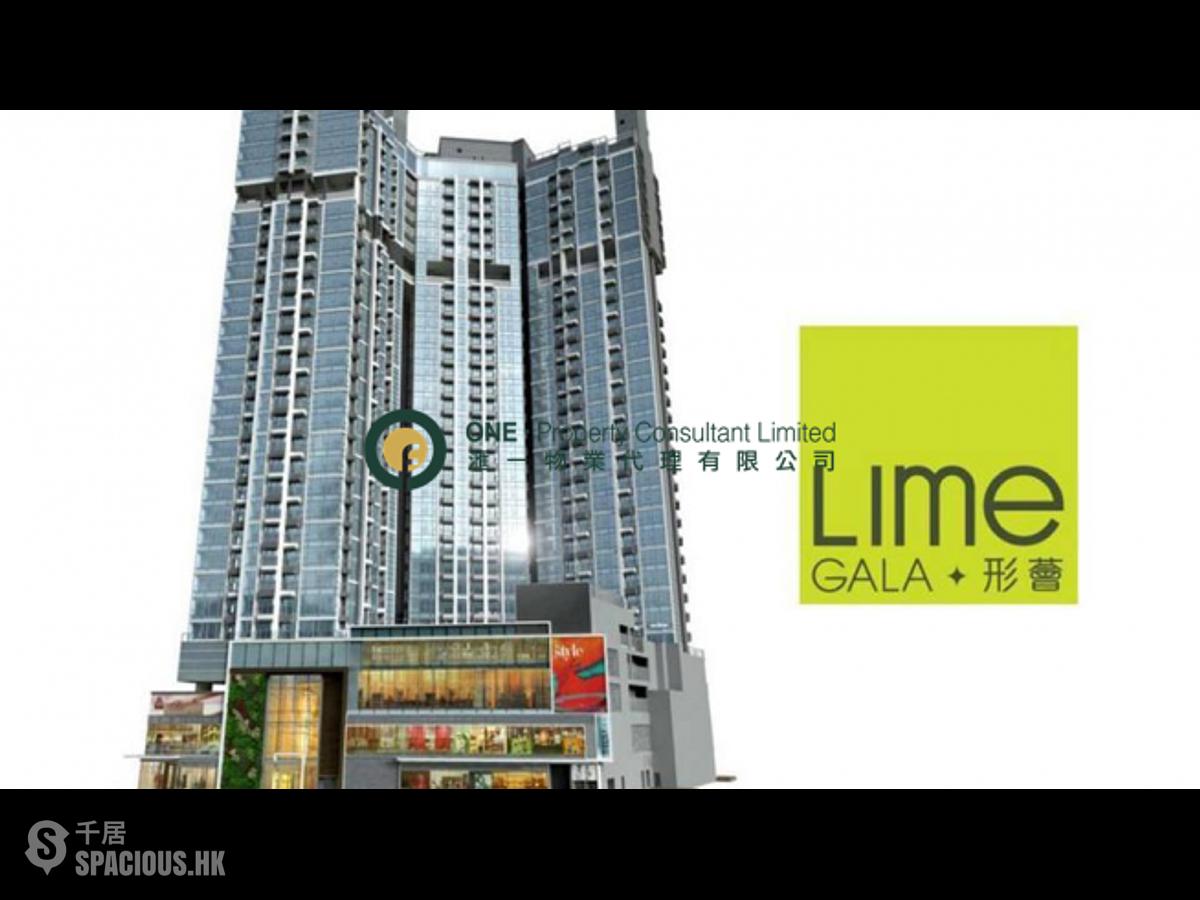 Shau Kei Wan - Lime Gala 01