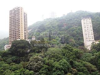 Wan Chai - Yan King Court 02