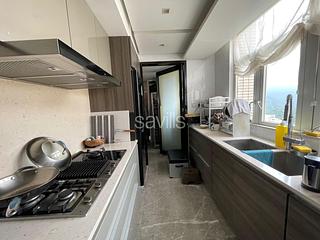 Stanley - Redhill Peninsula 04