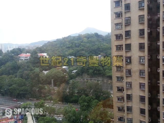 Sha Tin - New Town Plaza 01