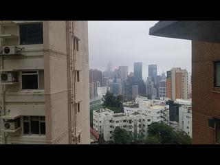 Tai Hang - Tai Hang Terrace 20