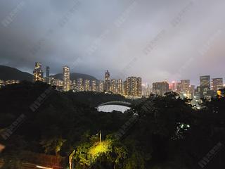 Tai Hang - Swiss Towers 07