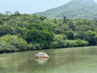 South Lantau - Ham Tin Kau Tsuen 36