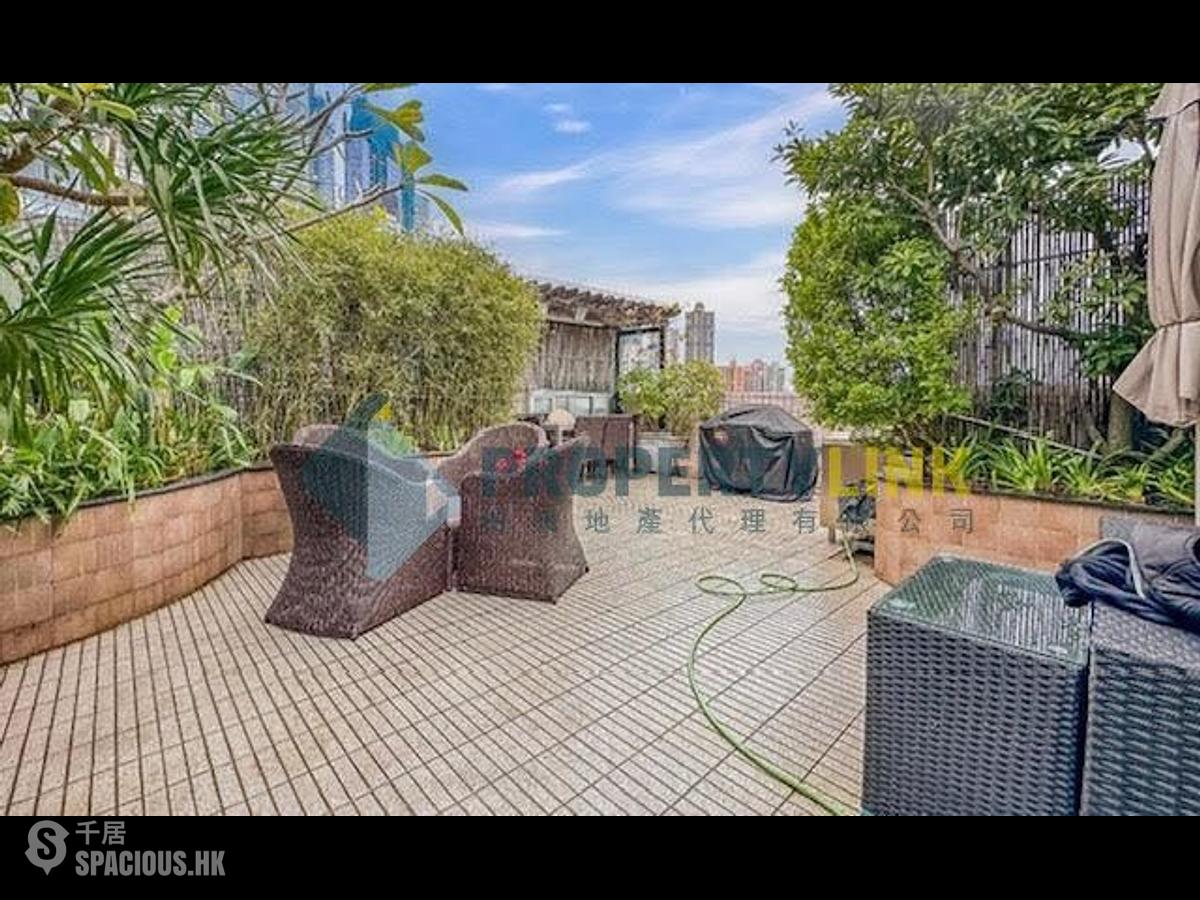 Noho - Hollywood Terrace 01