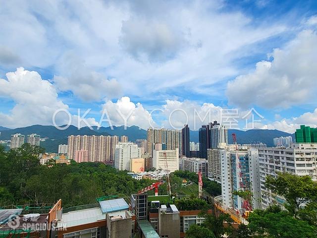 火炭 - 晉名峰 01