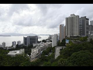 Pok Fu Lam - Alberose 11