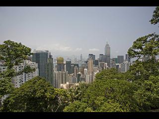 東半山 - 楠桦居 23