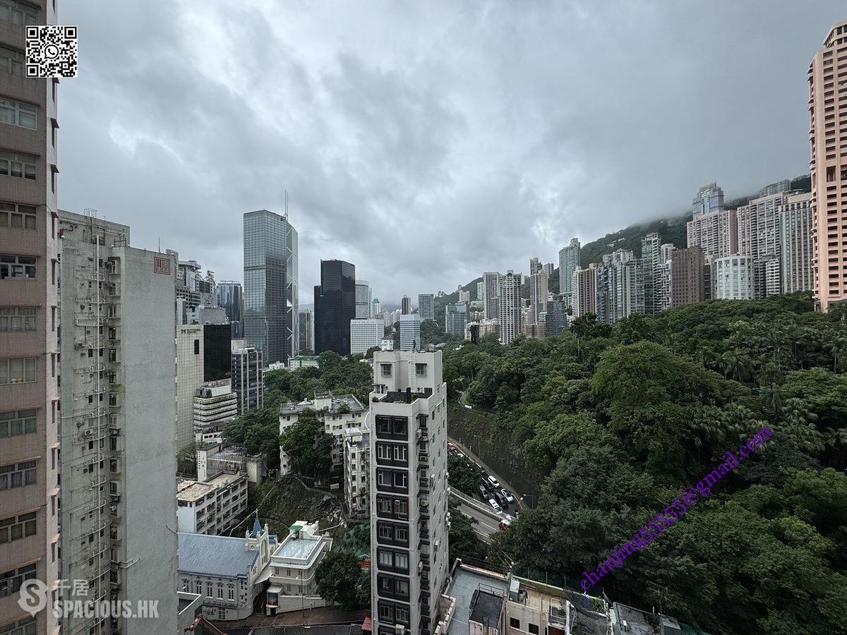 中环 - 百丽花园 01