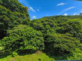 南大屿山 - 大浪湾村 21