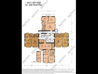 大坑 - 大坑道1號 14