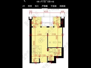 日出康城 - 日出康城6期 LP6 5座 08