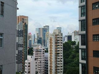 東半山 - 豐樂新邨B座 24