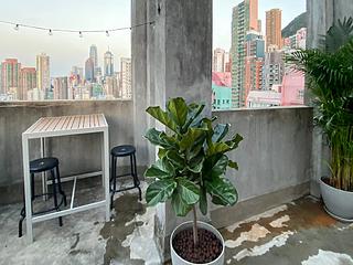 Sai Ying Pun - Goodwill Garden 06