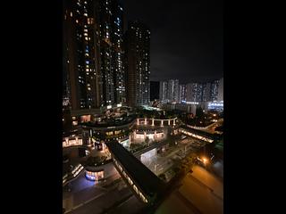 Tseung Kwan O - The Grandiose 06