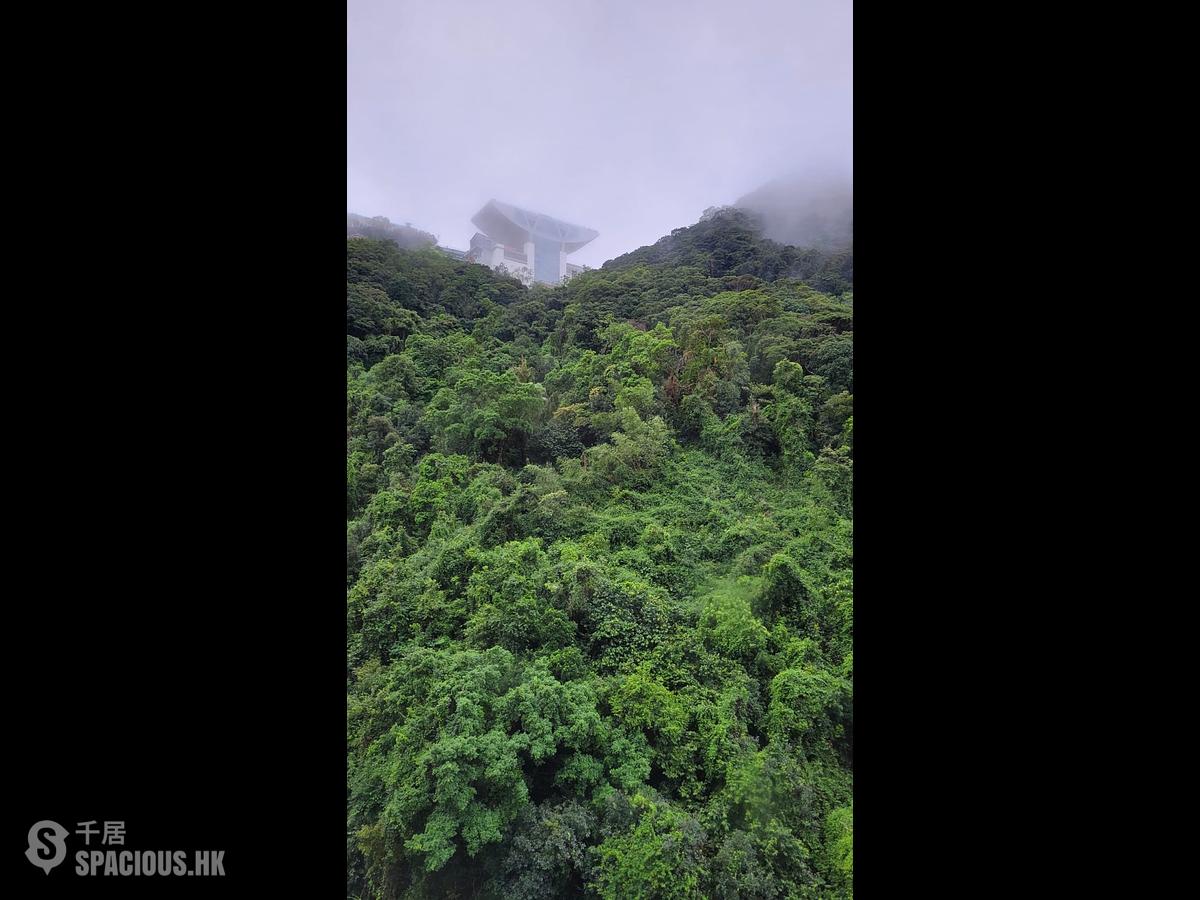 中半山 - 地利根德閣1座 01