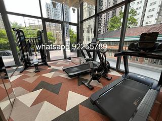 Sai Ying Pun - 15, Western Street 08