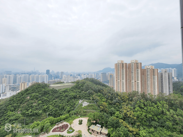 Ngau Chi Wan - Aria Kowloon Peak Tower 5 03