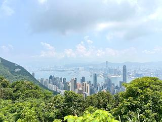 山頂 - 山景 種植道27號 02