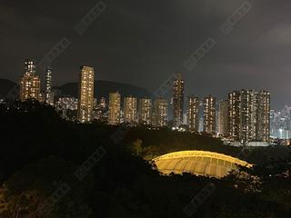 Tai Hang - Swiss Towers 08