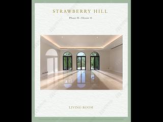 The Peak - Strawberry Hill 10