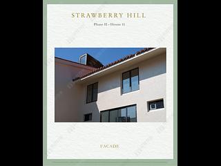 The Peak - Strawberry Hill 11