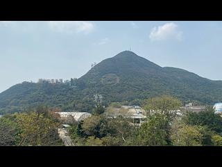 壽臣山 - 榛園 02