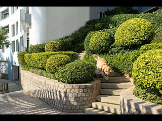 Repulse Bay - Repulse Bay Apartments 09