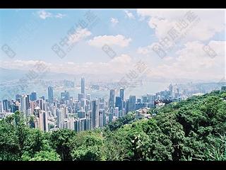 山顶 - 山景 种植道27号 11