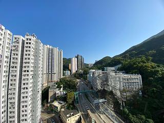 Shau Kei Wan - Lime Gala Block 2 06