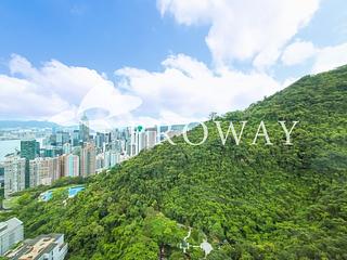 東半山 - Bowen's Lookout 02