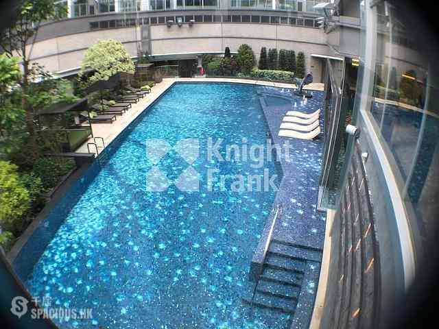 Shau Kei Wan - Lime Gala 08