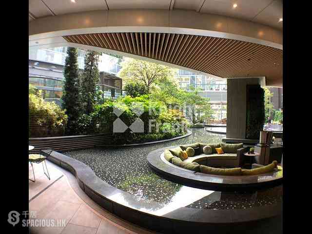 Shau Kei Wan - Lime Gala 10