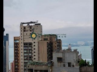 Sai Ying Pun - Reading Place 06