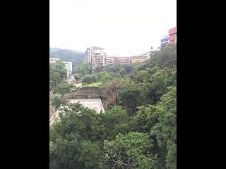 宝马山 - 丰林阁1座 09