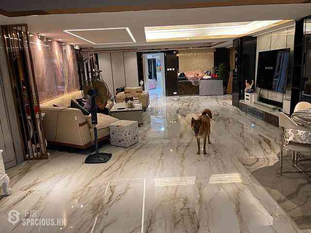 東涌 - 映灣園3期 悅濤軒11座 01