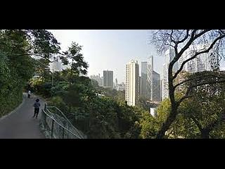 東半山 - 楠桦居 05