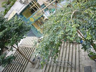 Noho - 1, Mee Lun Street 15