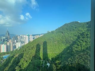 東半山 - Bowen's Lookout 09