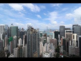 Wan Chai - The Avenue 06