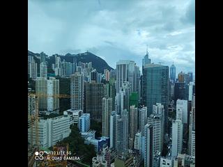 Wan Chai - The Avenue 05