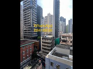 Sai Ying Pun - Western Garden 03