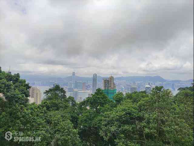 The Peak - Barker Villa 01