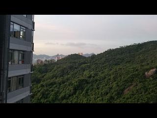 Tai Hang - Serenade 25