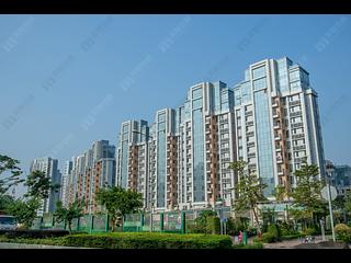 Kam Tin - Riva Helorus Boulevard Tower 6A 17