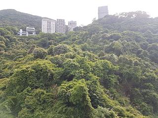 司徒拔道 - 嘉苑 03